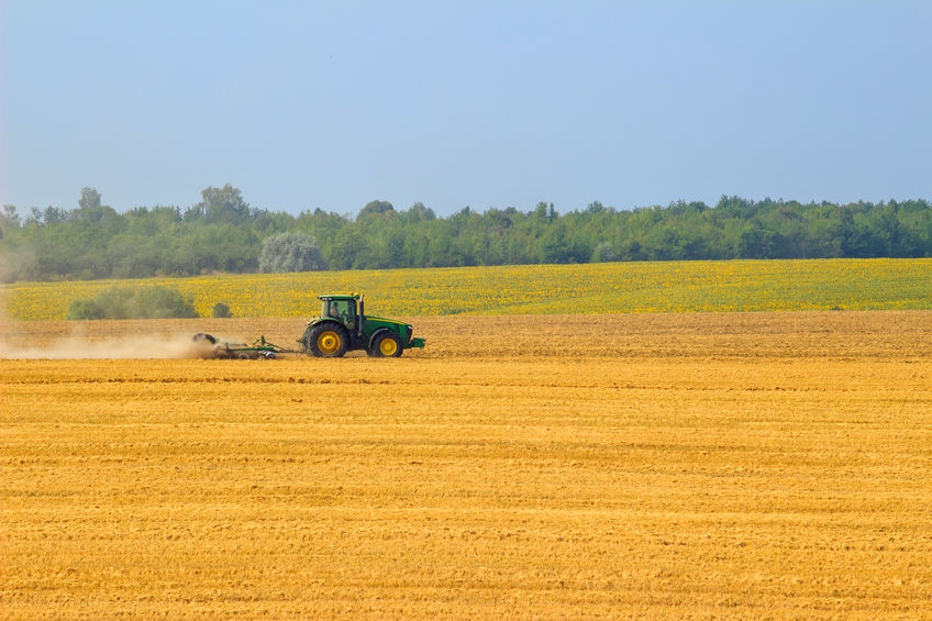 The Green Alliance report says a shift to sustainable food production is "vital" for farming and the environment