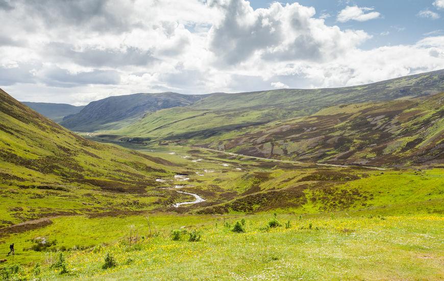 Earlier in March, police urged the public to avoid farmland in the Scottish Highlands due to the substance