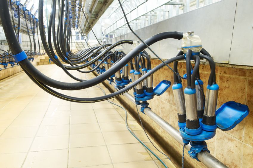 The UK uses around 40.9bn litres of water each year to produce 14bn litres of milk, according to a water conservation expert