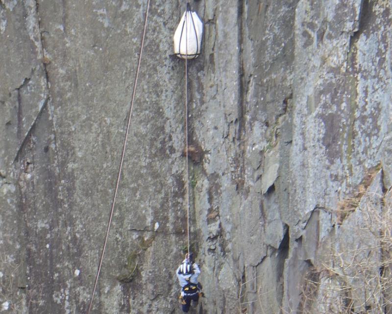 Rescuers had to help a sheep stuck 80 foot down a Caernarfon quarry