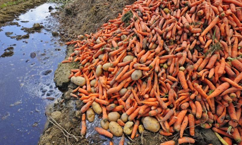 The initiative started in a bid to reduce food waste on-farm