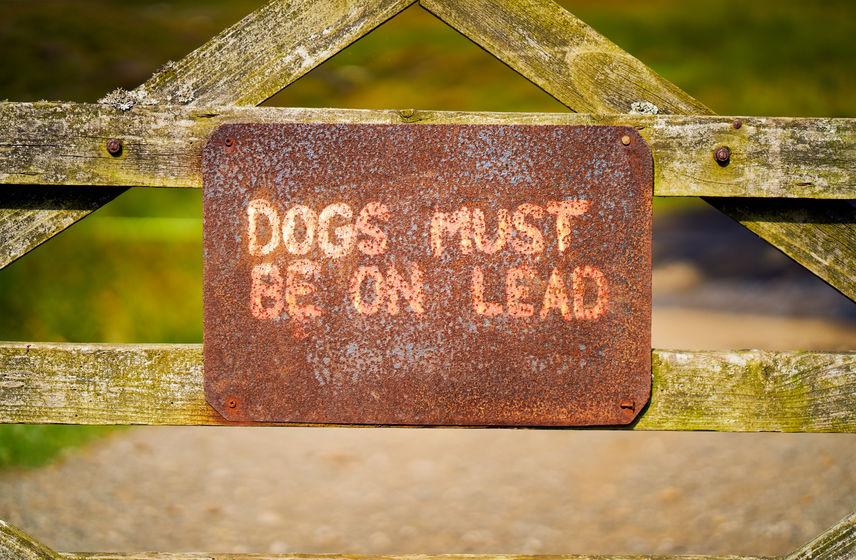 The incident has prompted a strong warning from the police to dog walkers