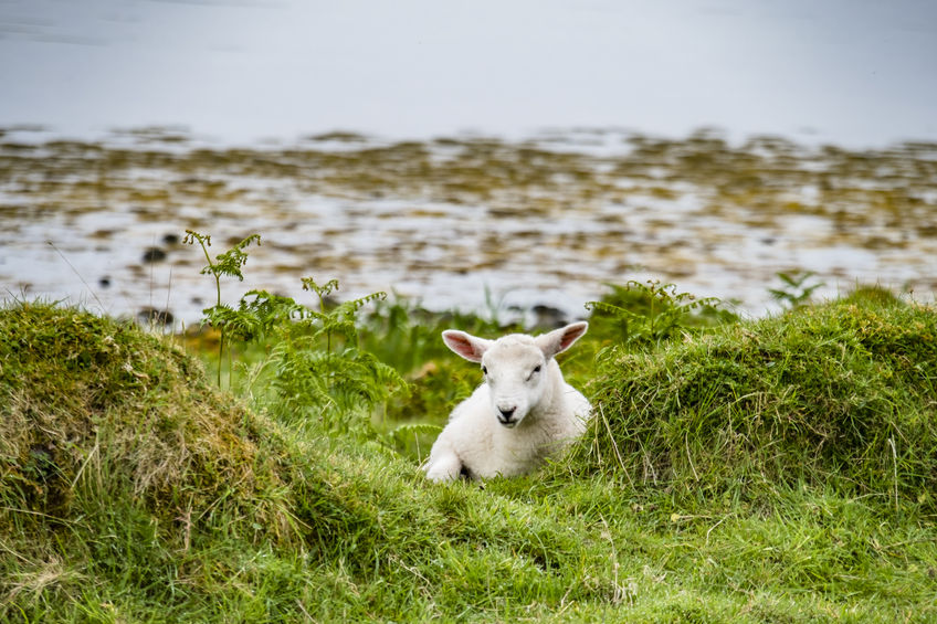 Farmers across the country have experienced one of the wettest and coldest winters following persistent rainfall