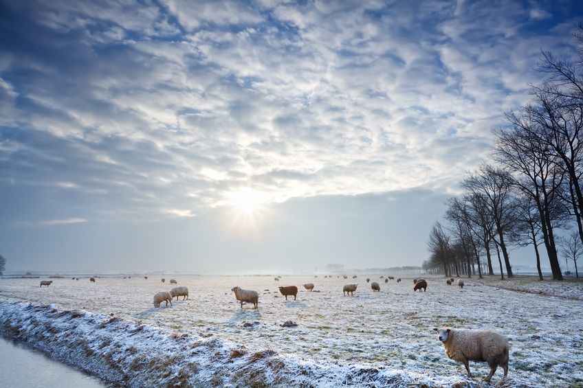 Farmers have experienced an "extremely tough winter", according to NFU Scotland