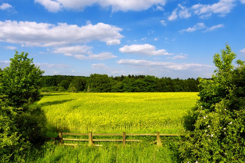 Farming systems that work with nature can be profitable and productive, the report said