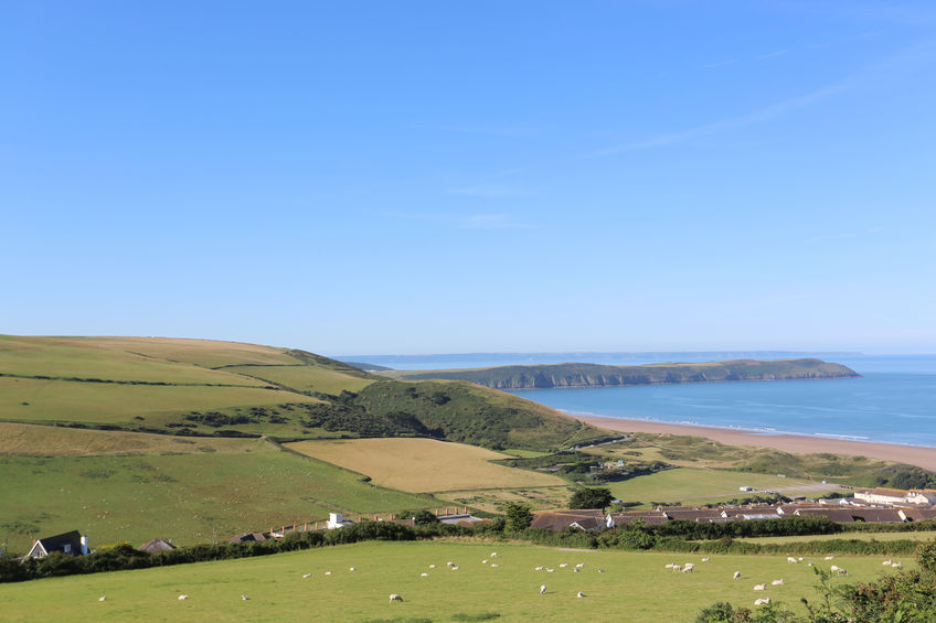 The report shows that the region's sheep sector has the potential to be the hardest hit by Brexit