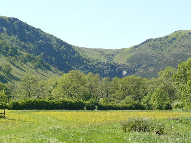 2,025 acres will be available from October 2018 near Llangynog in Powys for a small rental fee