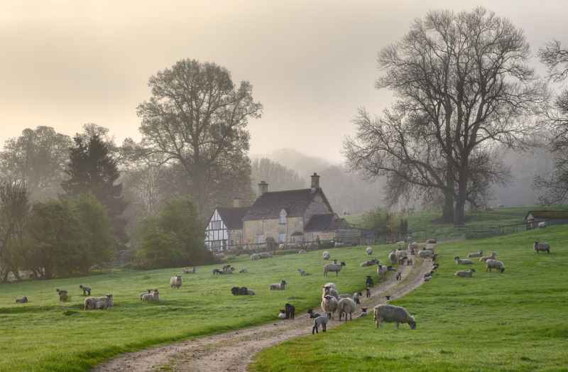 Nematodirus warning has been issued for sheep farmers as temperatures set to rise by Wednesday