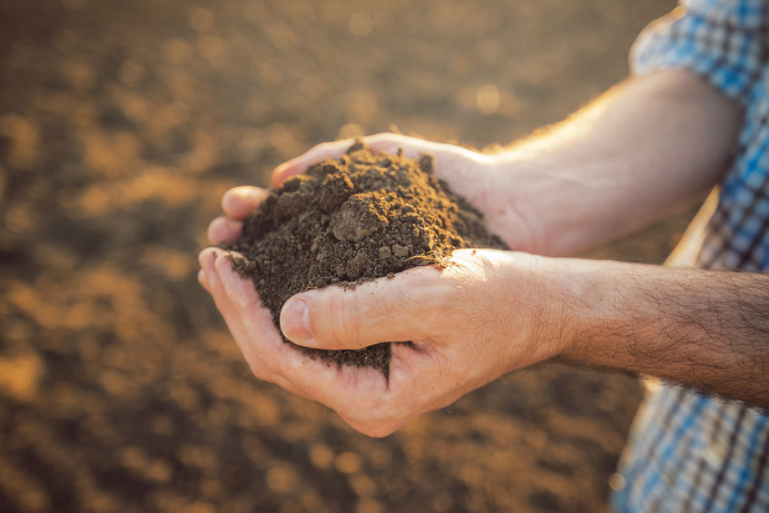 The new study blames "poor farming and land management practices" for the degradation of soil