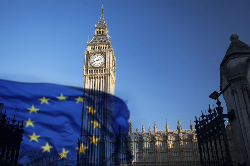 NFU Scotland has expressed disappointment at the UK government's customs union statement