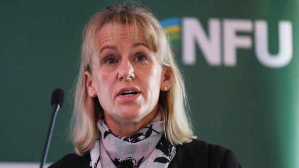 NFU President Minette Batters told Gove farmers must feel "empowered" to deliver real reform