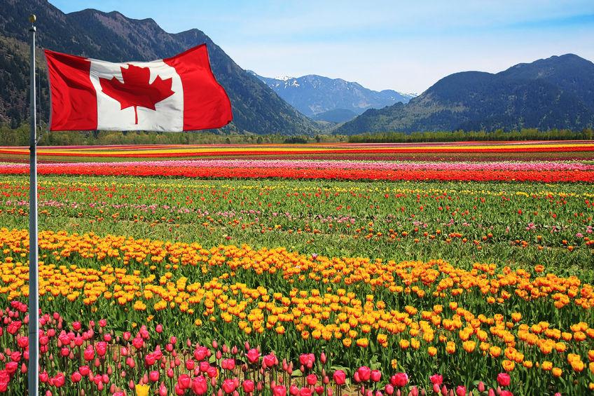 Canada is currently the sixth largest importer of British food products