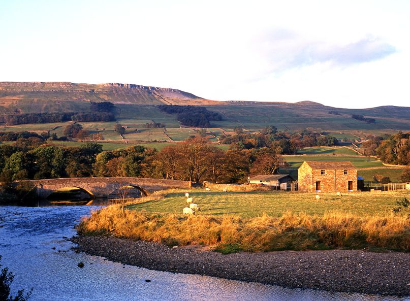 Farmers with land around 28 priority watercourses will be encouraged to engage with a programme of support