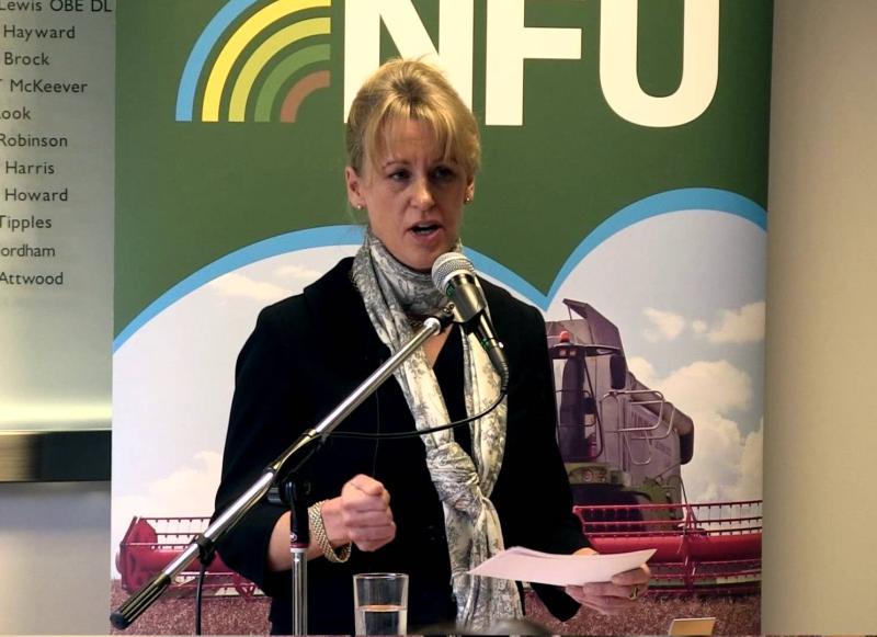 The NFU held an open-house briefing for MPs on its consultation response