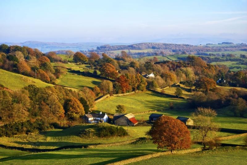 The Welsh Government has refused to rule out the Labour Party proposal, which could see farmers forced to sell their land to make room for houses