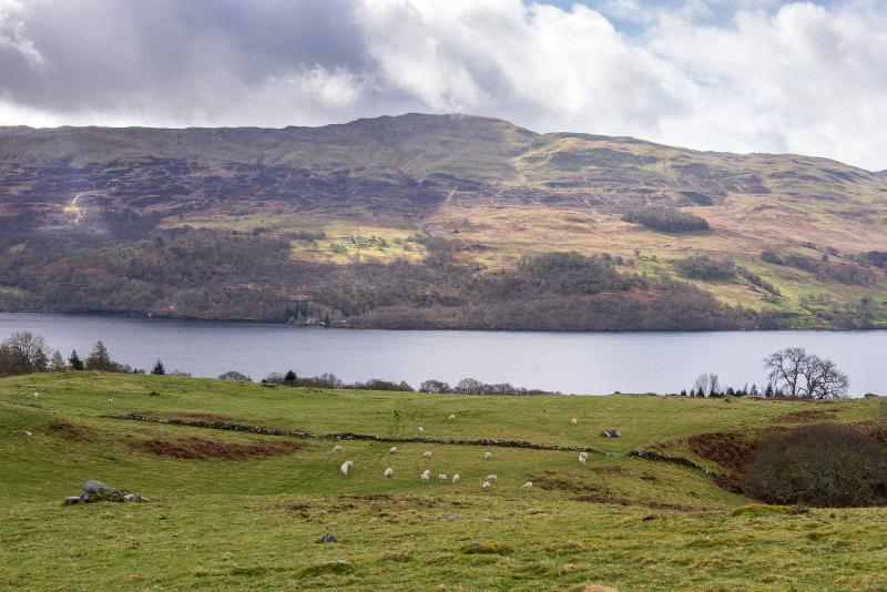 The 91-acre livestock farm enjoys elevated views of Loch Tay (Photo: Galbraith)
