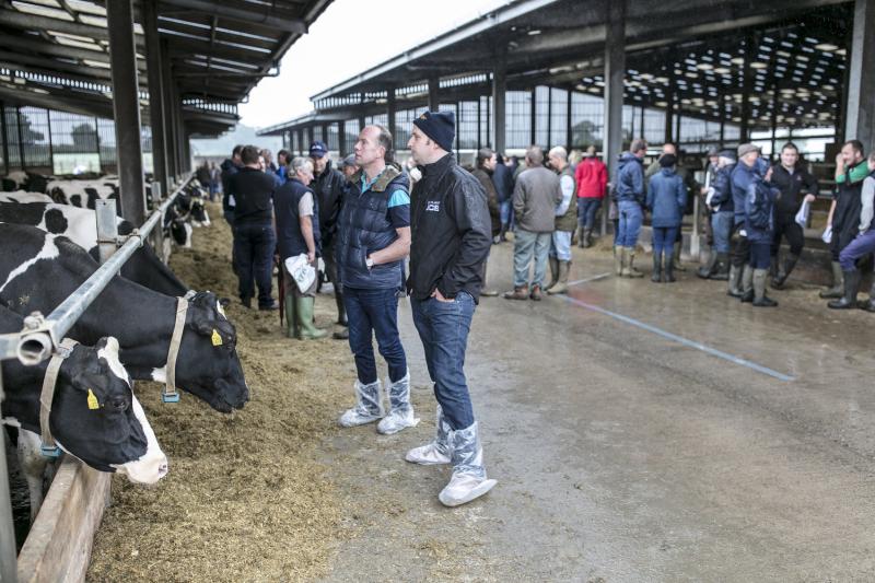 Gold Cup Open Day to focus on strategic success FarmingUK News