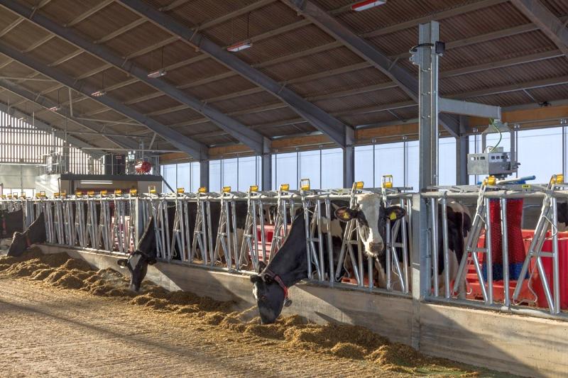 The new centre will offer the latest research technologies for studying a range of dairy-related topics