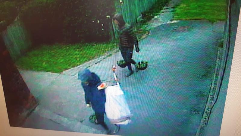 The farm said the two criminals displayed an 'act of cruelty and destruction' (Photo: East Hull Community Farm/Facebook)