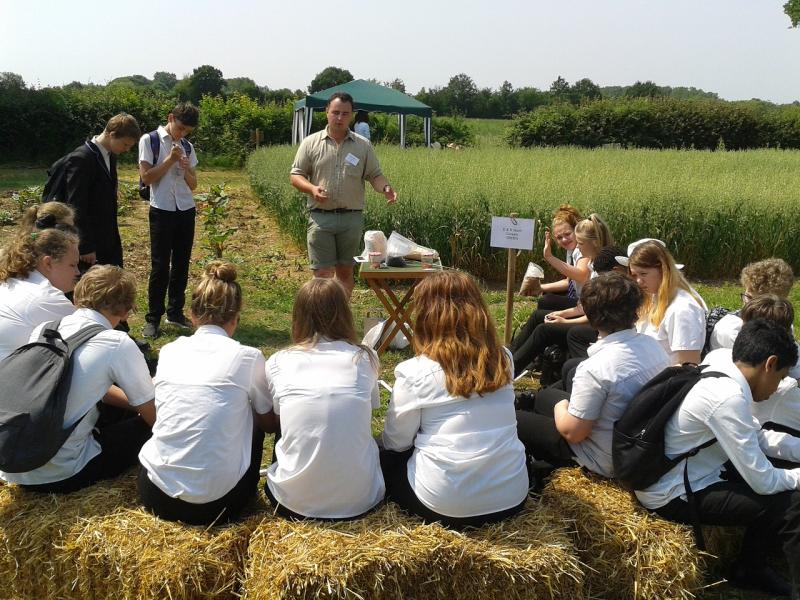 Open Farm School Days provides an opportunity for children and young people to experience farming at first hand