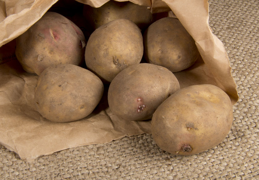 Aldi has bought 100 tonnes of potatoes to help Welsh grower after better than expected harvest