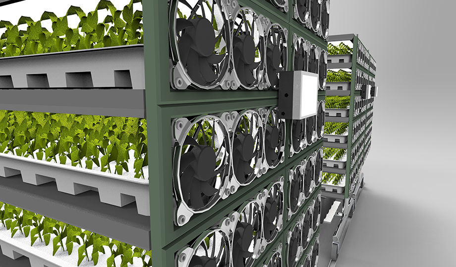 Where current vertical farms use traditional LEDs, vFarm uses OLEDs, which produce less heat and have a higher energy efficiency