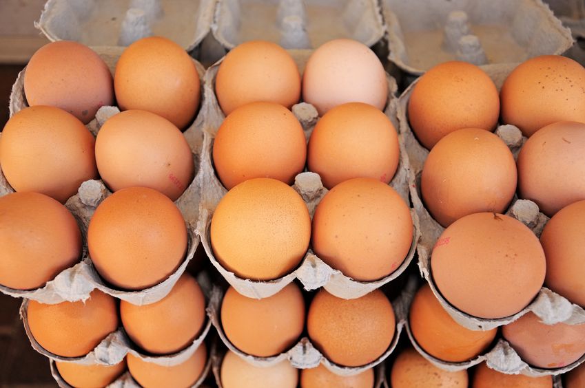 Dorset farmer James Gigg appeared in court facing allegations of egg fraud