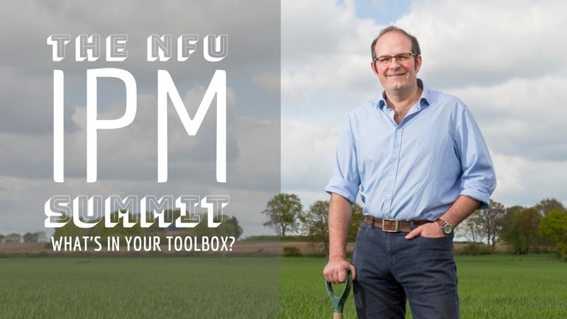 Farmers consider both non-chemical and chemical methods to protect crops from pests and diseases