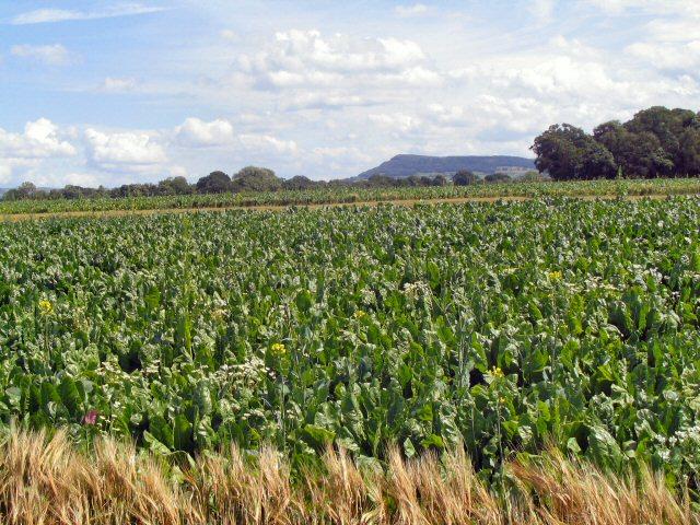 Farmers can take numerous steps to ensure the farm is a safe and efficient place