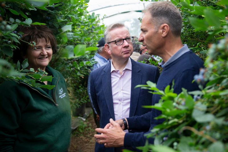 LEAF welcomed Michael Gove to Tuesley Farm, part of the Hall-Hunter Partnership, on Open Farm Sunday