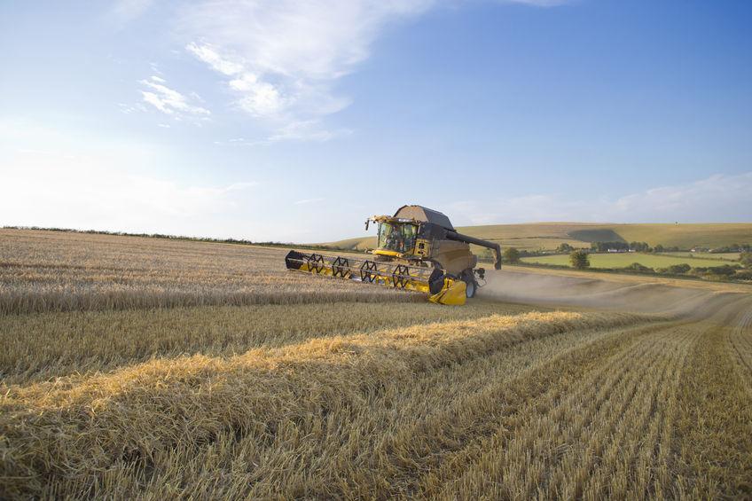 The new funding aims to develop scientific breakthroughs in UK crop research and innovation