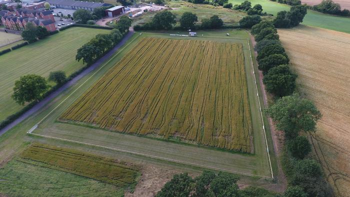 The team planted a crop of spring barley in March 2017 and successfully harvested it in early September