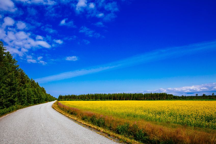 A rural road along a rapeseed field in Finland. Finnish systems could stimulate UK arable efficiency