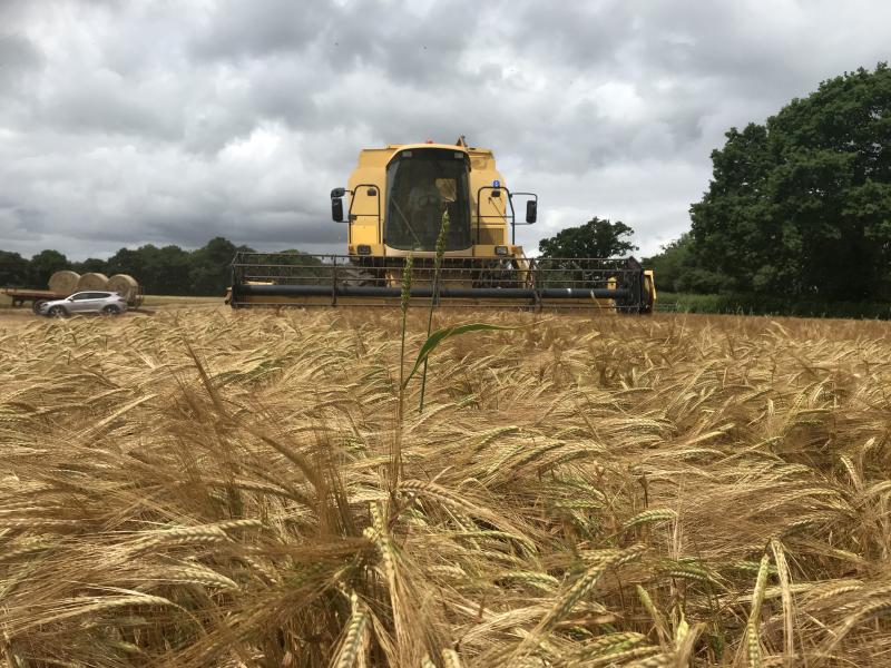 The combines are beginning to make an appearance on farms