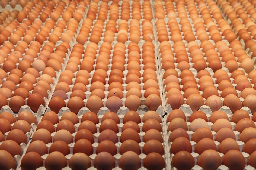 The Preston free range egg farmer has been ordered to pay back more than £500,000