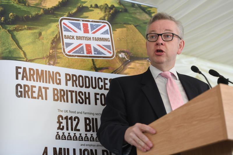 British farmers are ‘better equipped than anyone’ to deliver high quality food, Defra Secretary Michael Gove said 