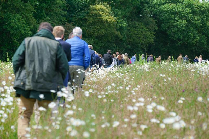 The farm has been described as an "internationally important wildlife jewel"