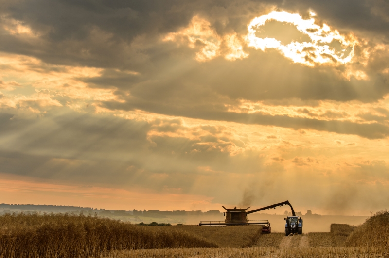 This photo of a sunset harvest in the Cotswolds gained first prize (Photo: Jason Clarke)