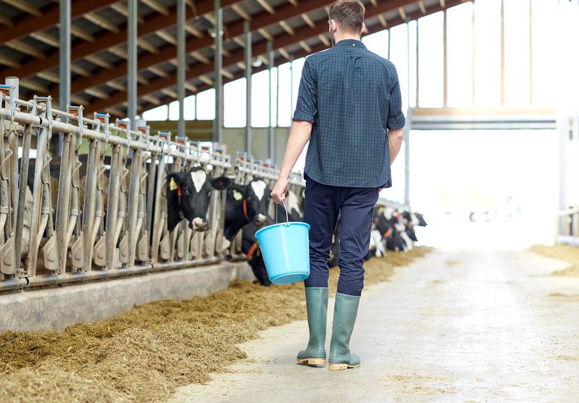 A farm director has been banned after failing to pay minimum wage to his farm labourers