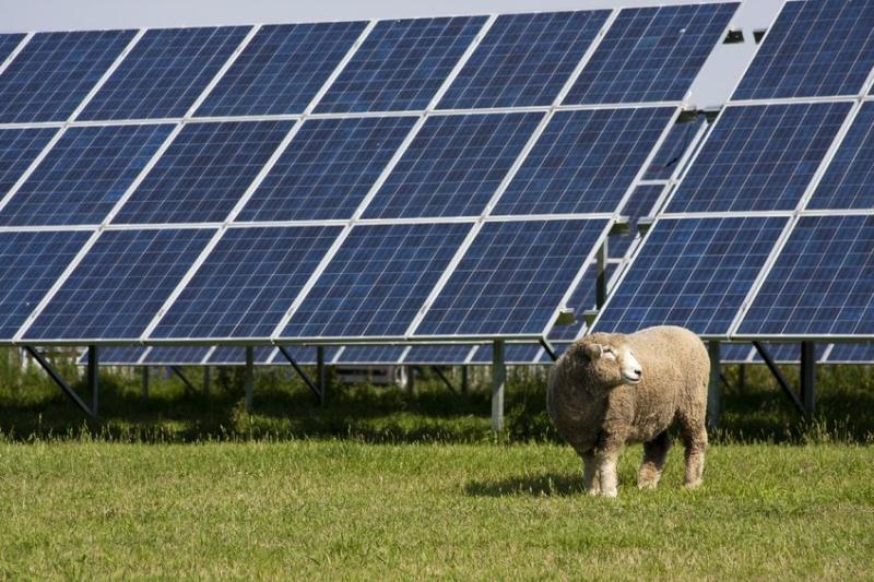 The NFU estimates farmers are responsible for 9GW out of 13GW of solar capacity