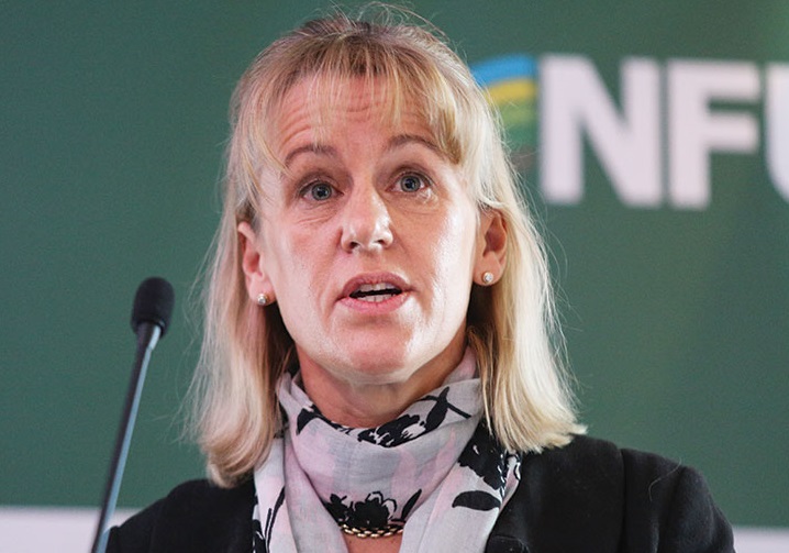 The NFU President said she is "very concerned" that there is not a united government view on the risk of UK food standards slipping post-Brexit