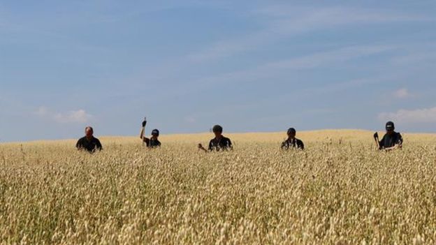 Search efforts have been described as "difficult" due to the heatwave and the height of crops (Photo: Hertfordshire Police)