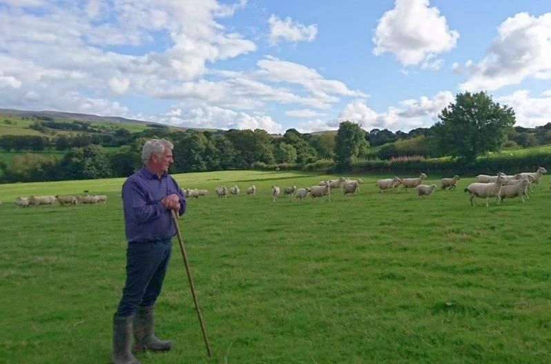 The Farmers' Union of Wales has called the proposals the "most radical change" to farm policy since 2005