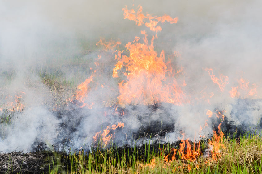 With harvest conditions driest in living memory, NFU Mutual is urgently advising farmers to take extra care to avoid harvest fires