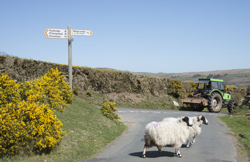 Sentences for rural crime must act as a deterrent, NFU tells Solicitor General