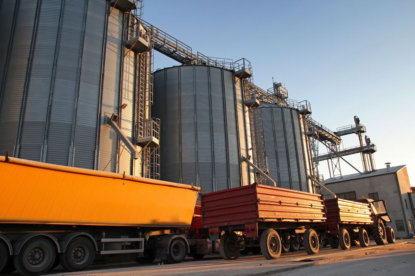 Angus Cereals has played an important role for the agricultural community in the east of Scotland