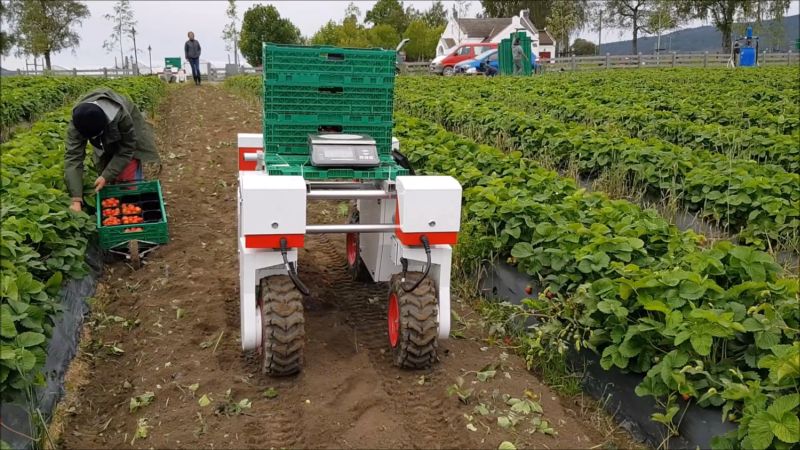 The machines are designed to increase productivity at the point the fruit is picked