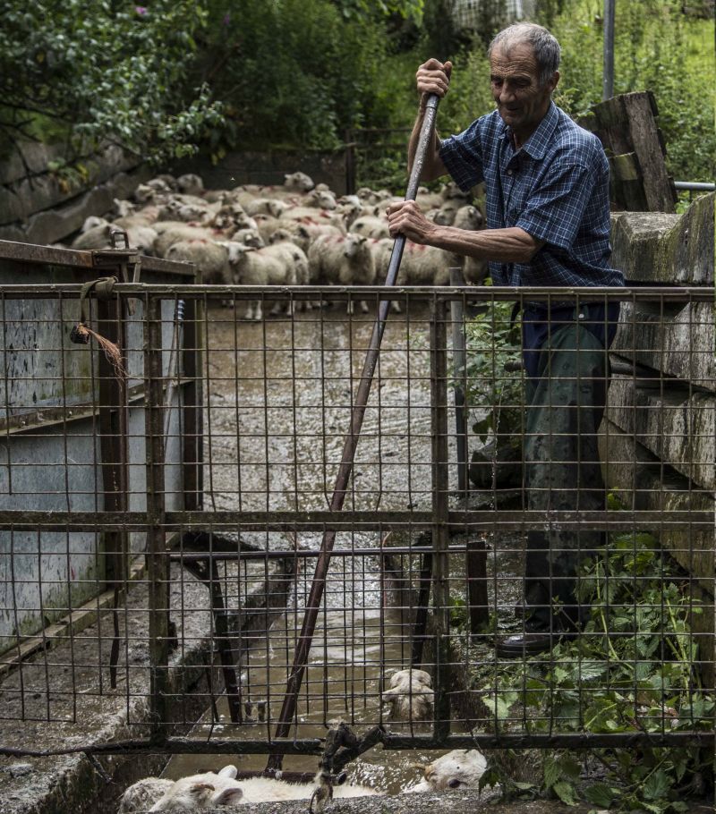 The collection of photographs shows the real world of farming in north Wales