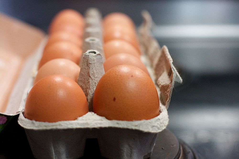 Adding eggs to children's diets supported growth and prevented stunting, studies show