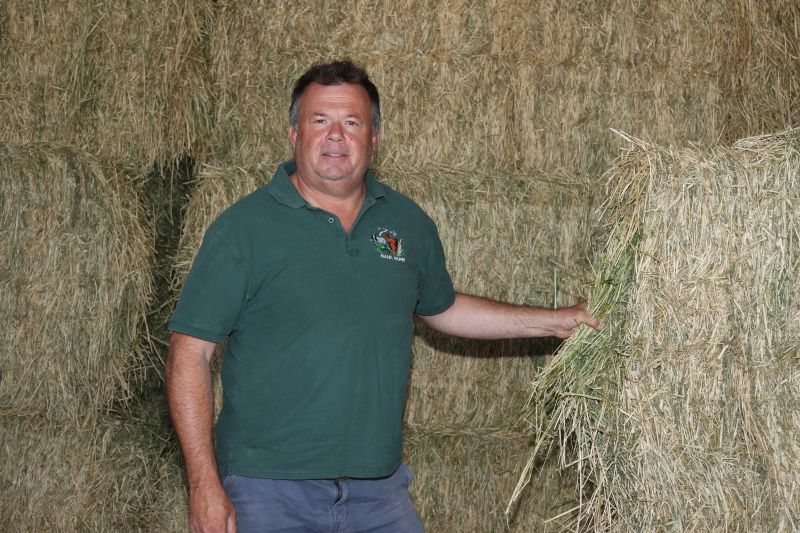 This year Doug has planted 200 acres of lucerne, which will produce about 1,000 tonnes